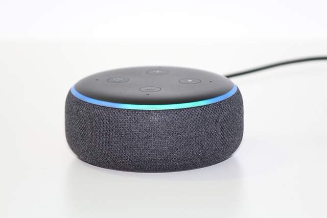 Alexa Skill